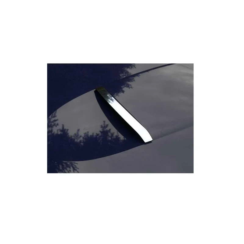 ibspot-15780459