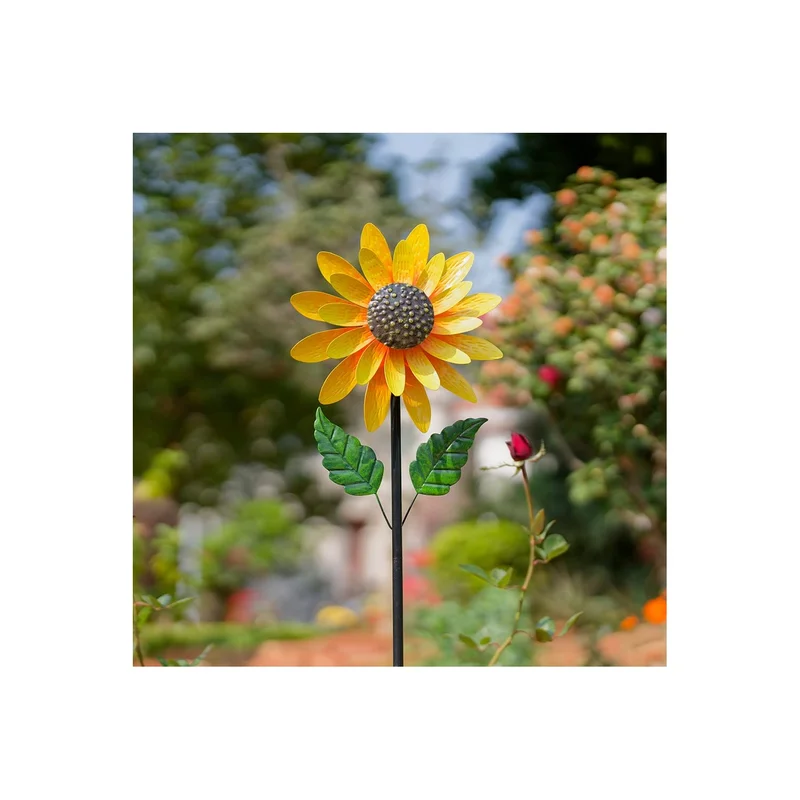 ibspot-16130929