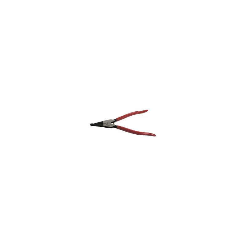 ibspot-23999952