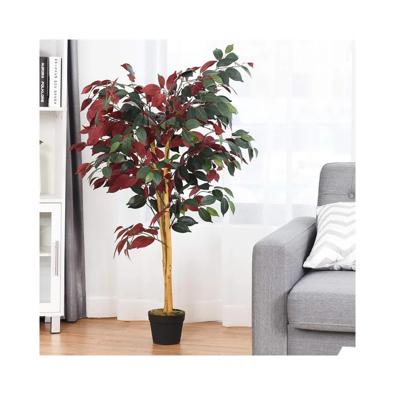 ibspot-34553009