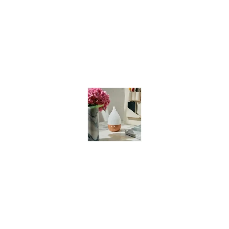ibspot-36006543
