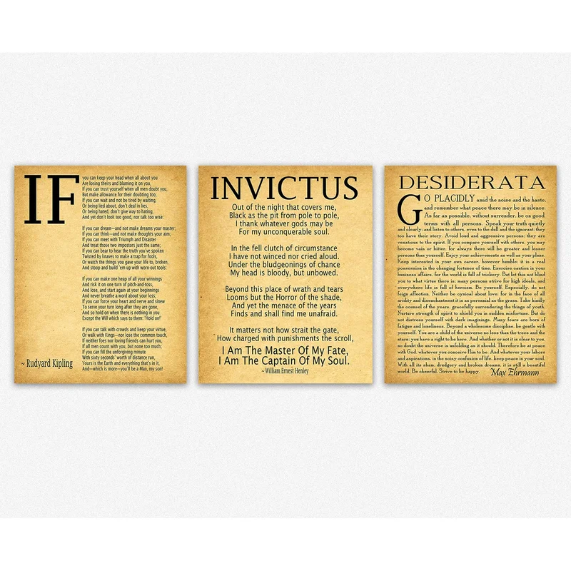 ibspot-5208902