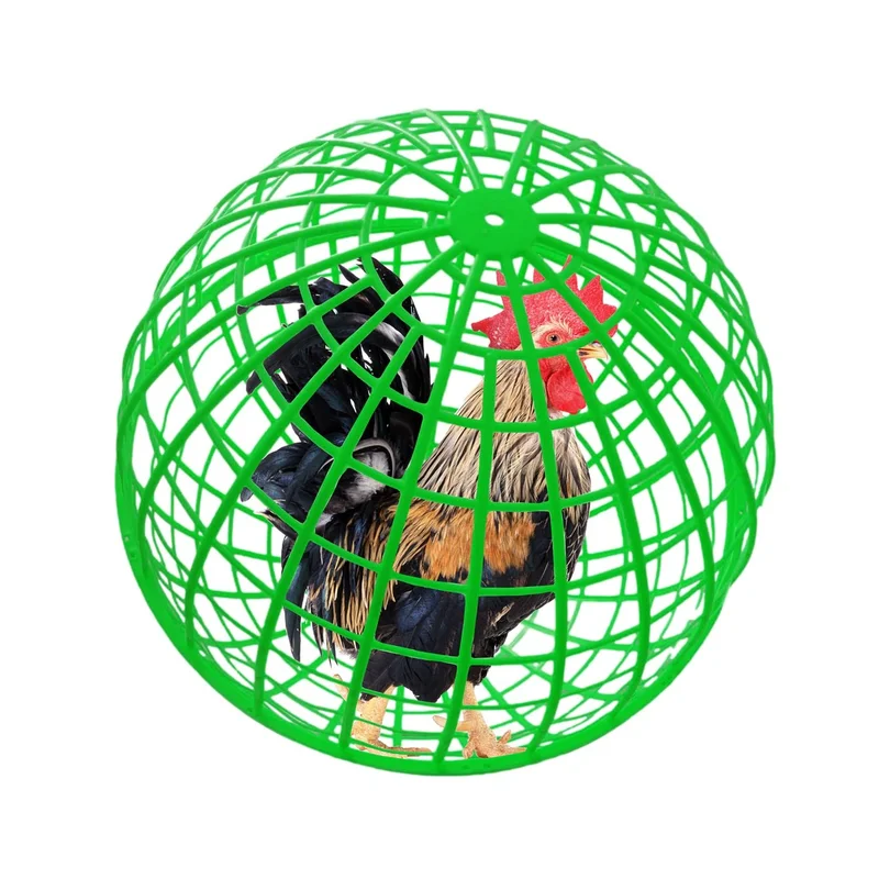 ibspot-54455884
