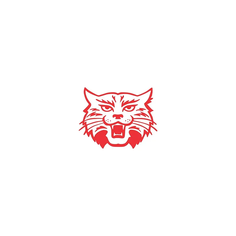 ibspot-54910217