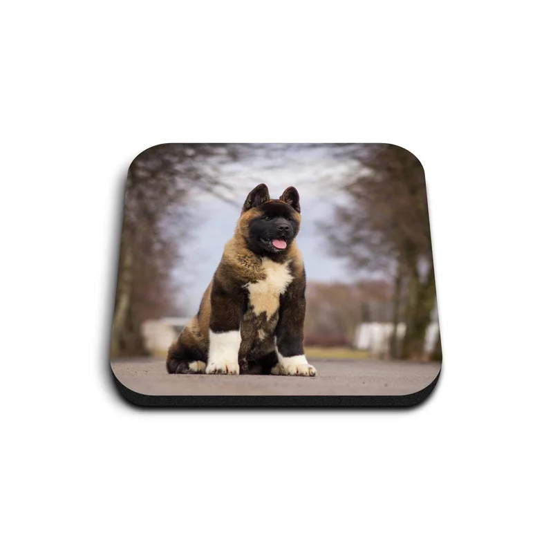 ibspot-55537541