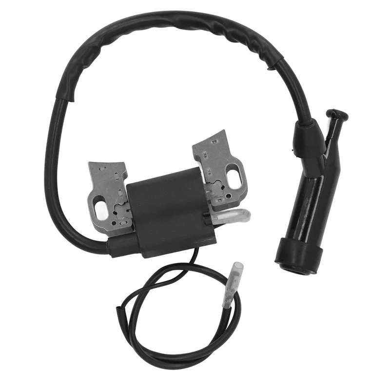 ibspot-55724119