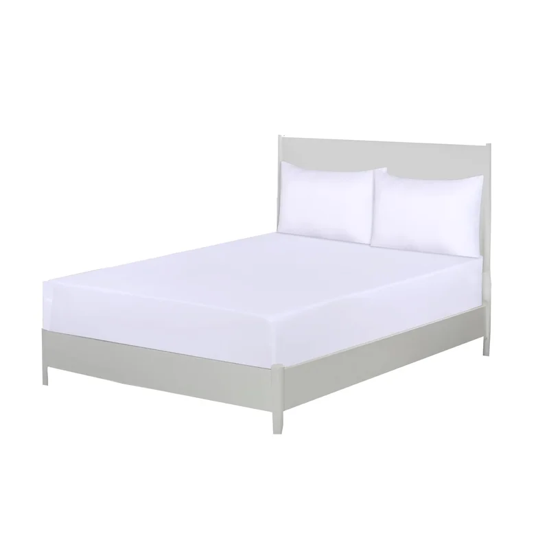 ibspot-55991122