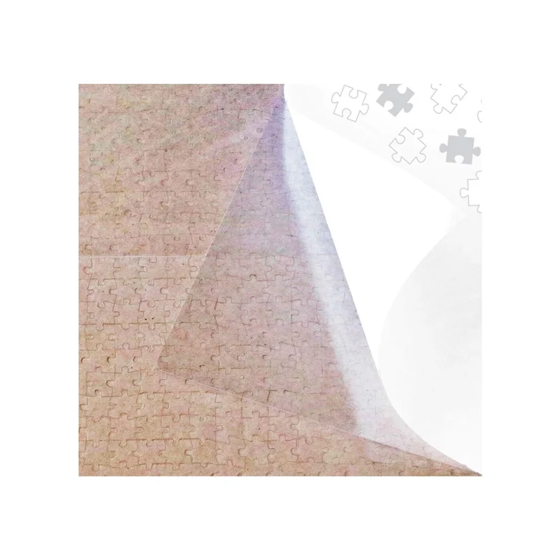 ibspot4731492