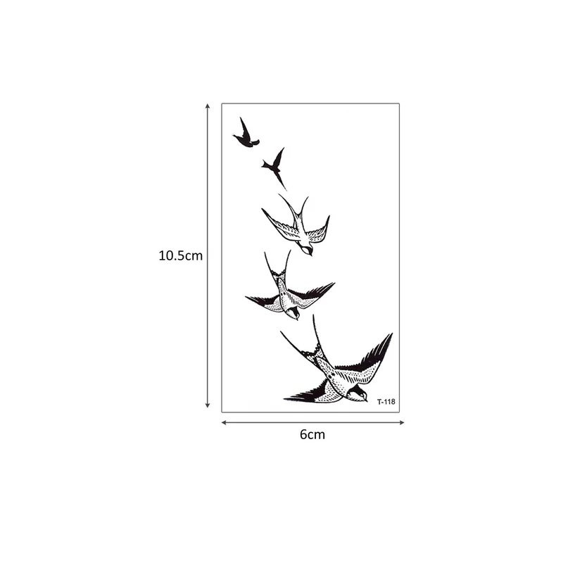 ibspot5651090