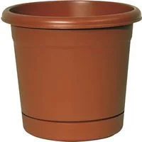 pettigrew-online4225040