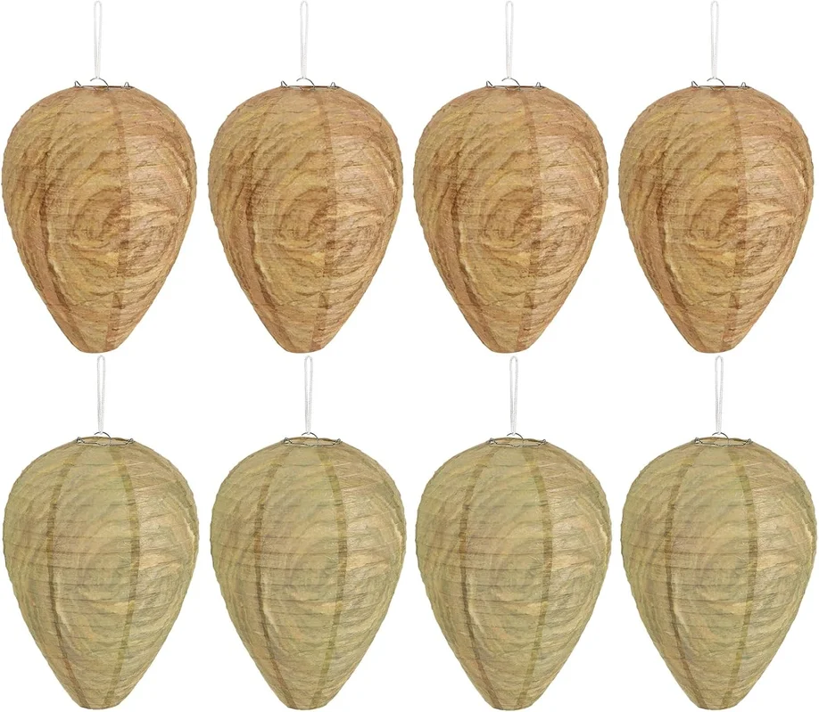 zeebooth-14506489