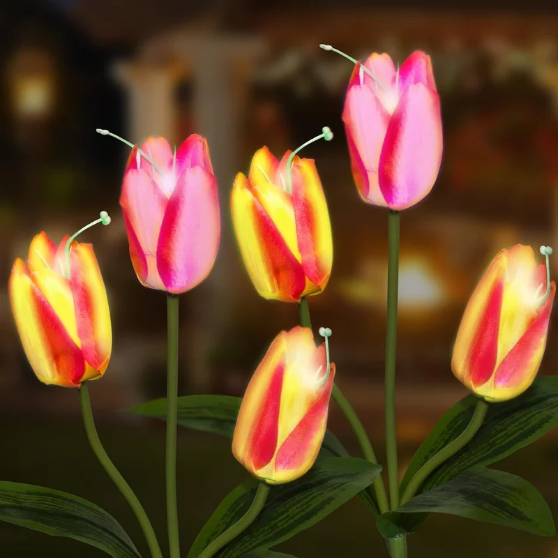 zeebooth-34527332