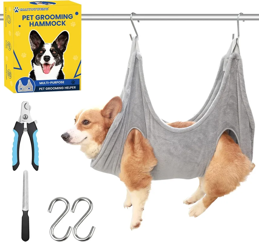 zeebooth-44527905