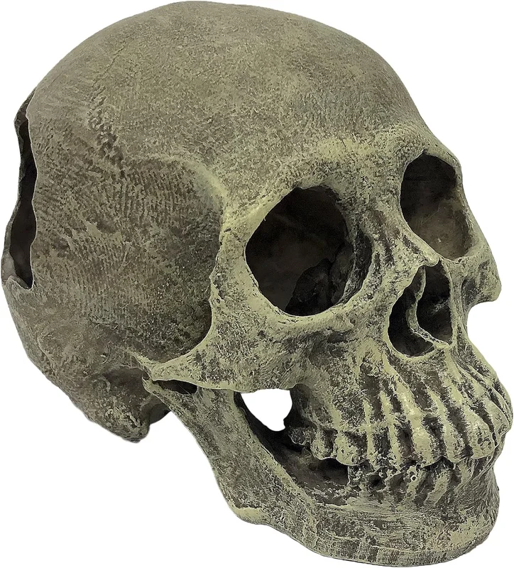zeebooth-44575406