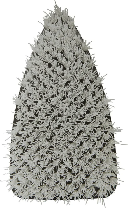 zeebooth-54678933